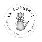 01-La-Sorgente